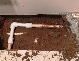 玉龙测漏水哪家好