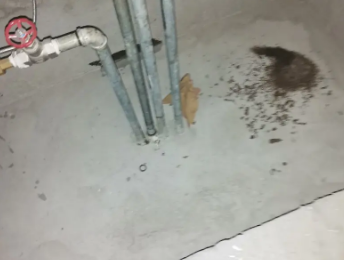 玉龙卫生间测漏水价格明细