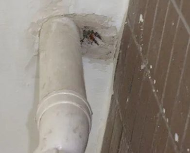 玉龙漏水检测哪家好